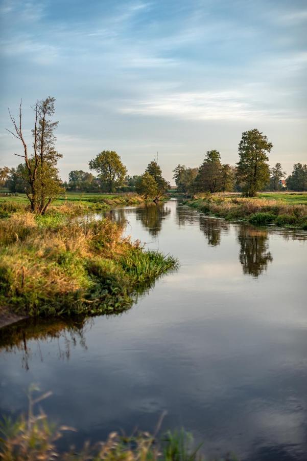 Noclegi Liw Apartments Hotel Apartamenty Węgrów Bagian luar foto